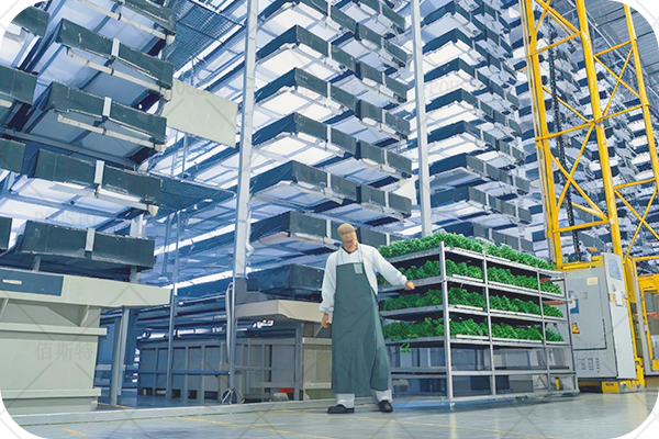 倉儲(chǔ)行業(yè),效率提升